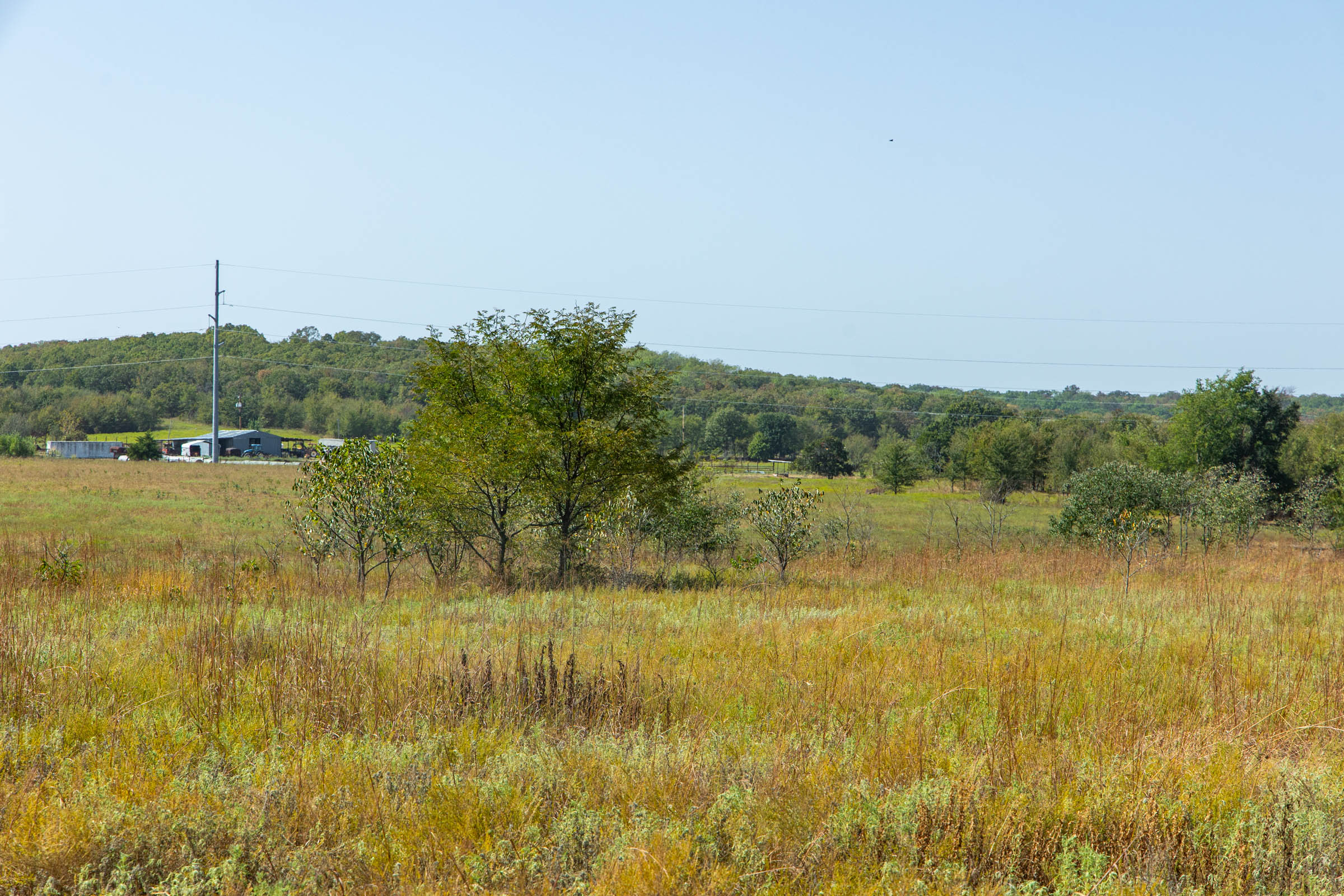 Gracyn Meadows Tract 8 photo 3