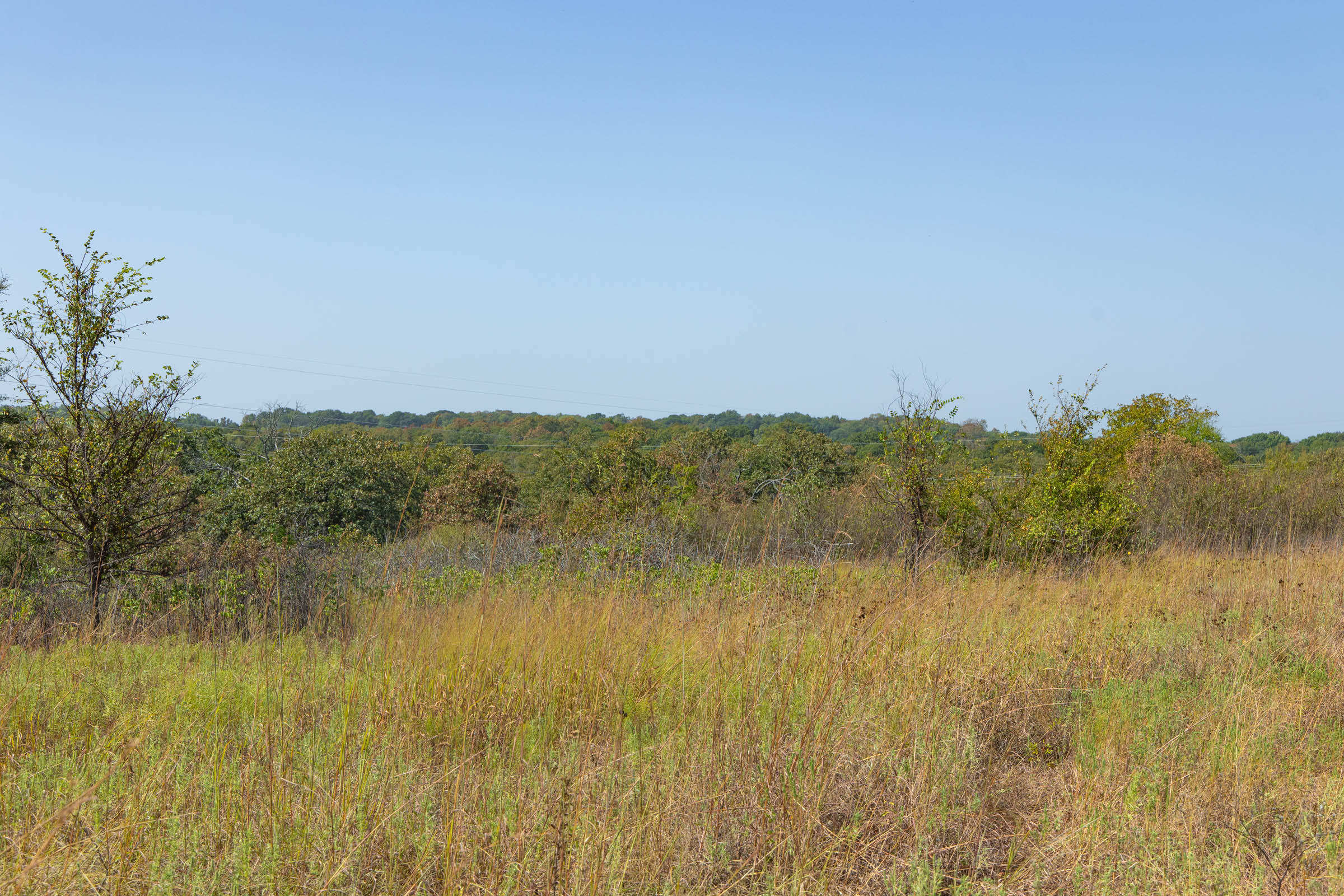 Gracyn Meadows Tract 8 photo 8