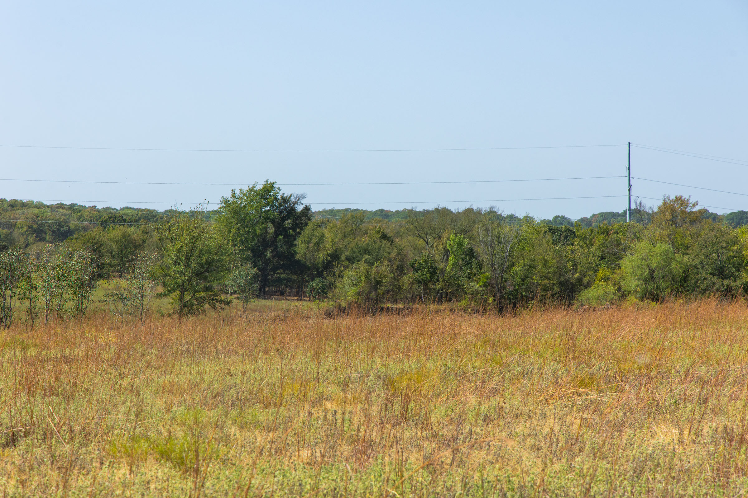 Gracyn Meadows Tract 8 photo 4