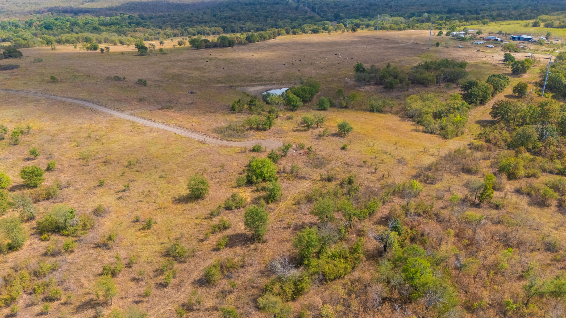 Gracyn Meadows Tract 8 photo 9