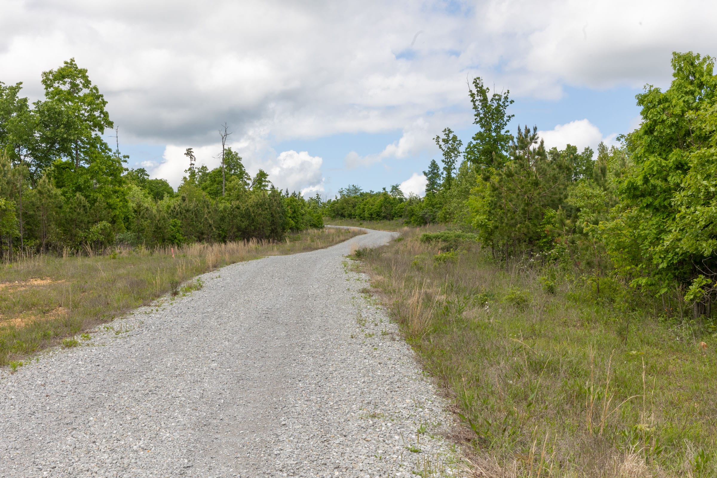 Sleepy Hollow Phase II Tract 86 photo 3