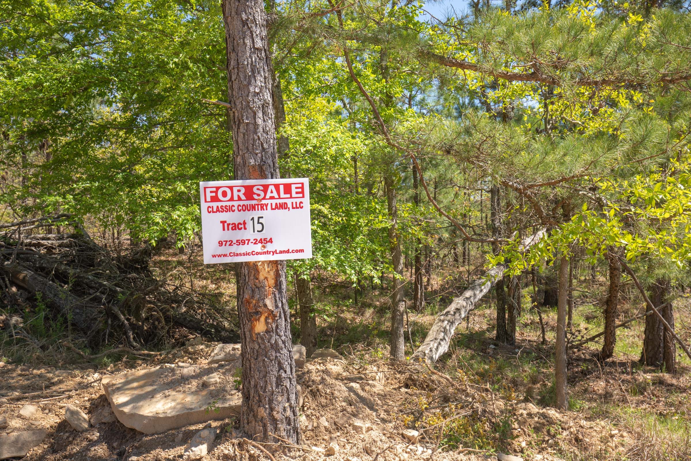Eagle’s Nest Tract 15 photo 1