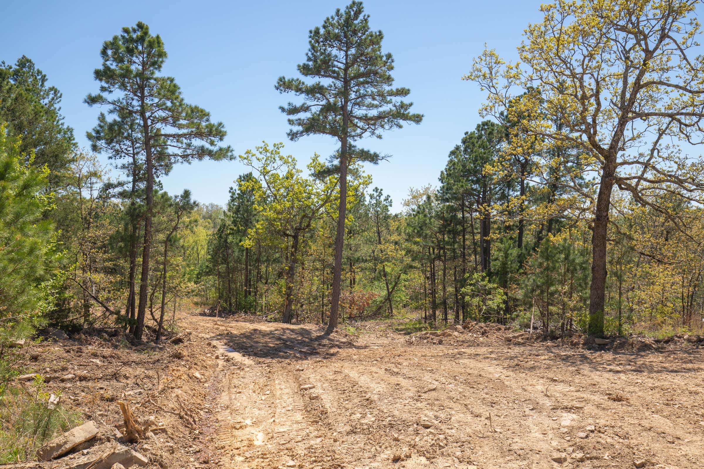 Eagle’s Nest Tract 15 photo 2