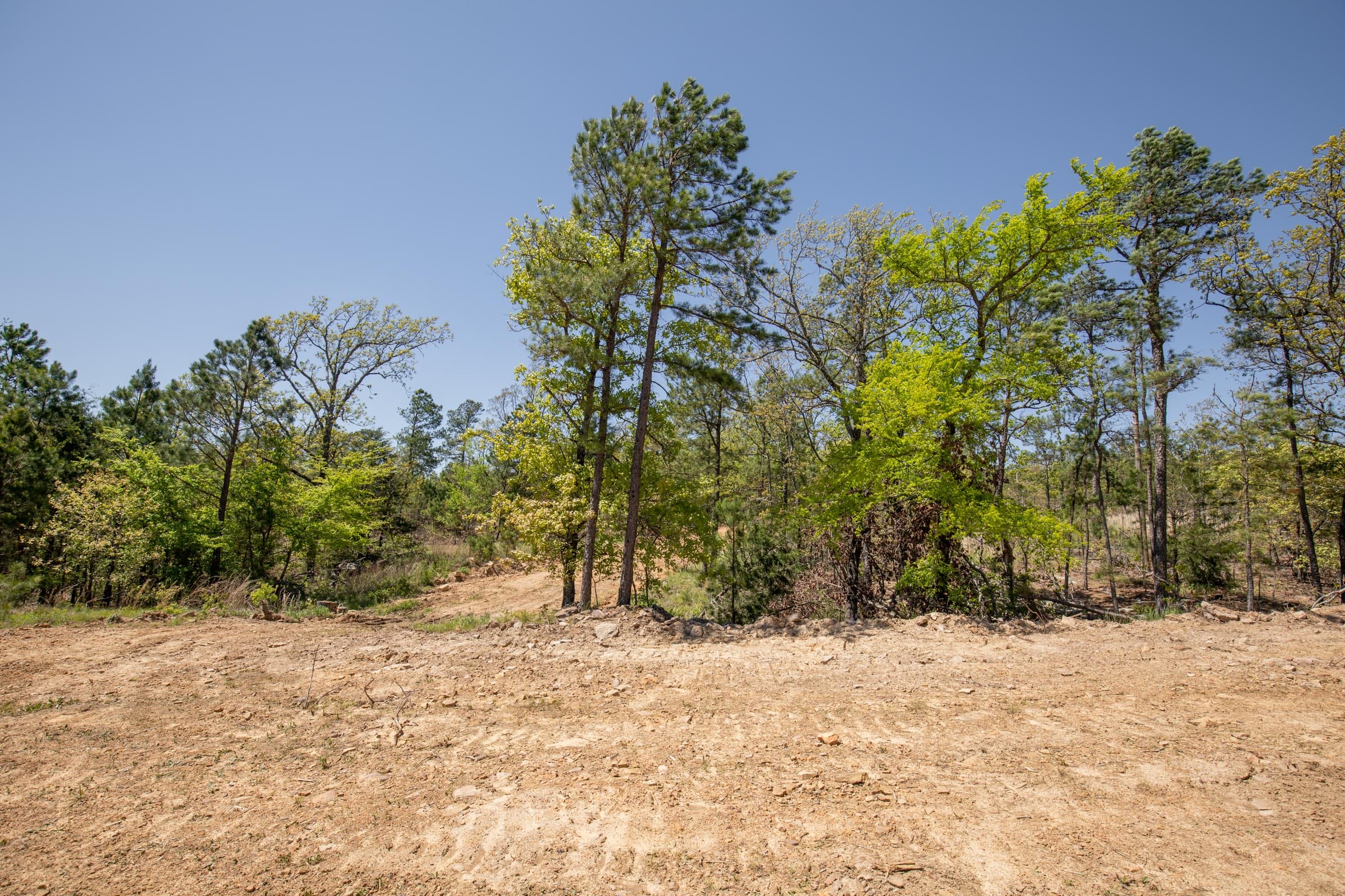 Eagle’s Nest Tract 15 photo 4