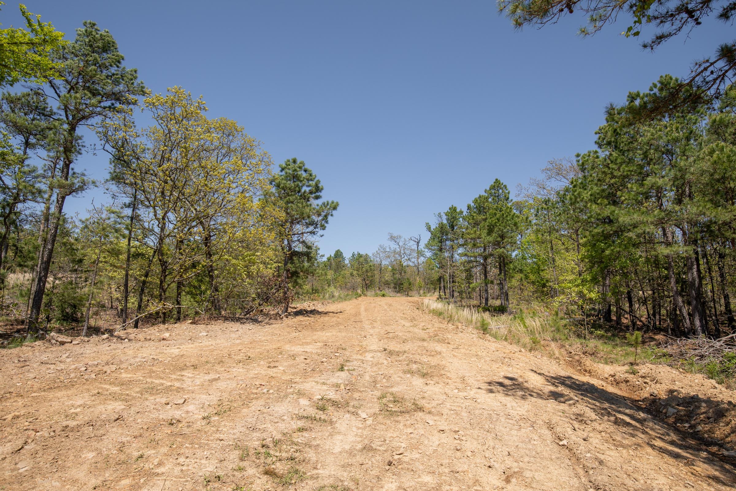 Eagle’s Nest Tract 15 photo 6