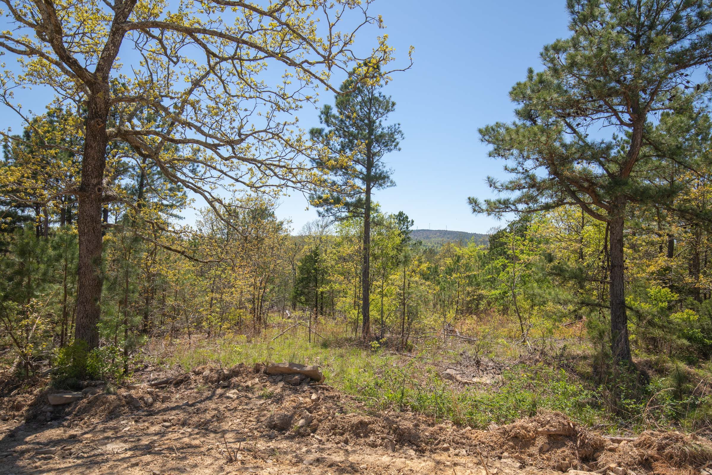Eagle’s Nest Tract 15 photo 3