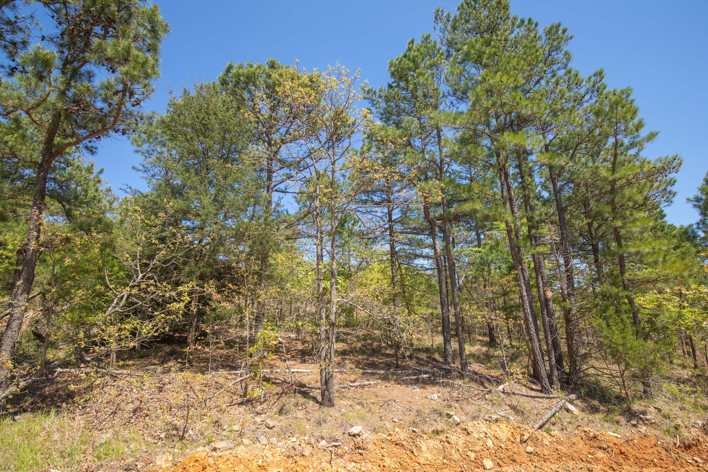 Eagle’s Nest Tract 15 photo 7