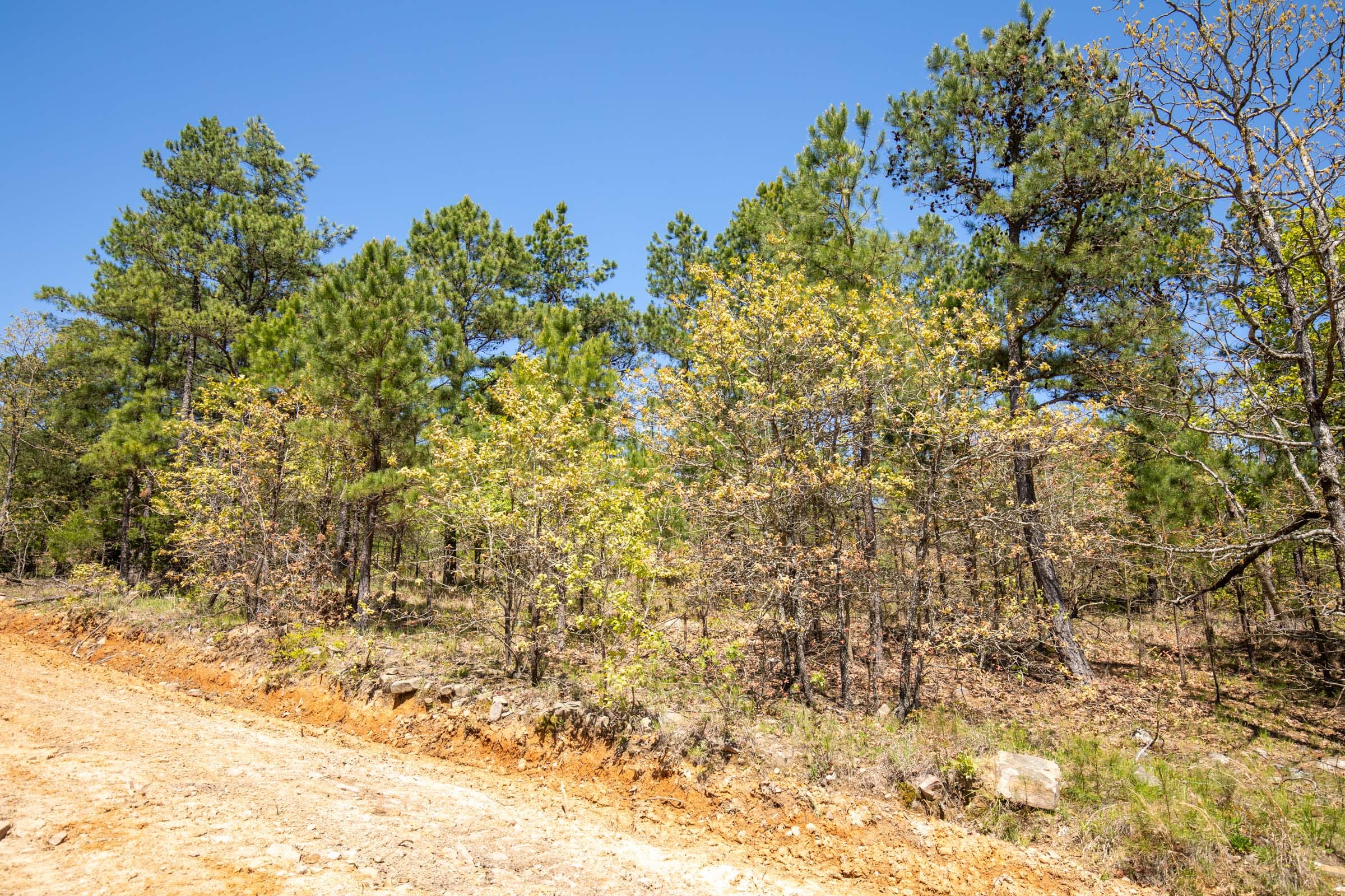 Eagle’s Nest Tract 15 photo 8