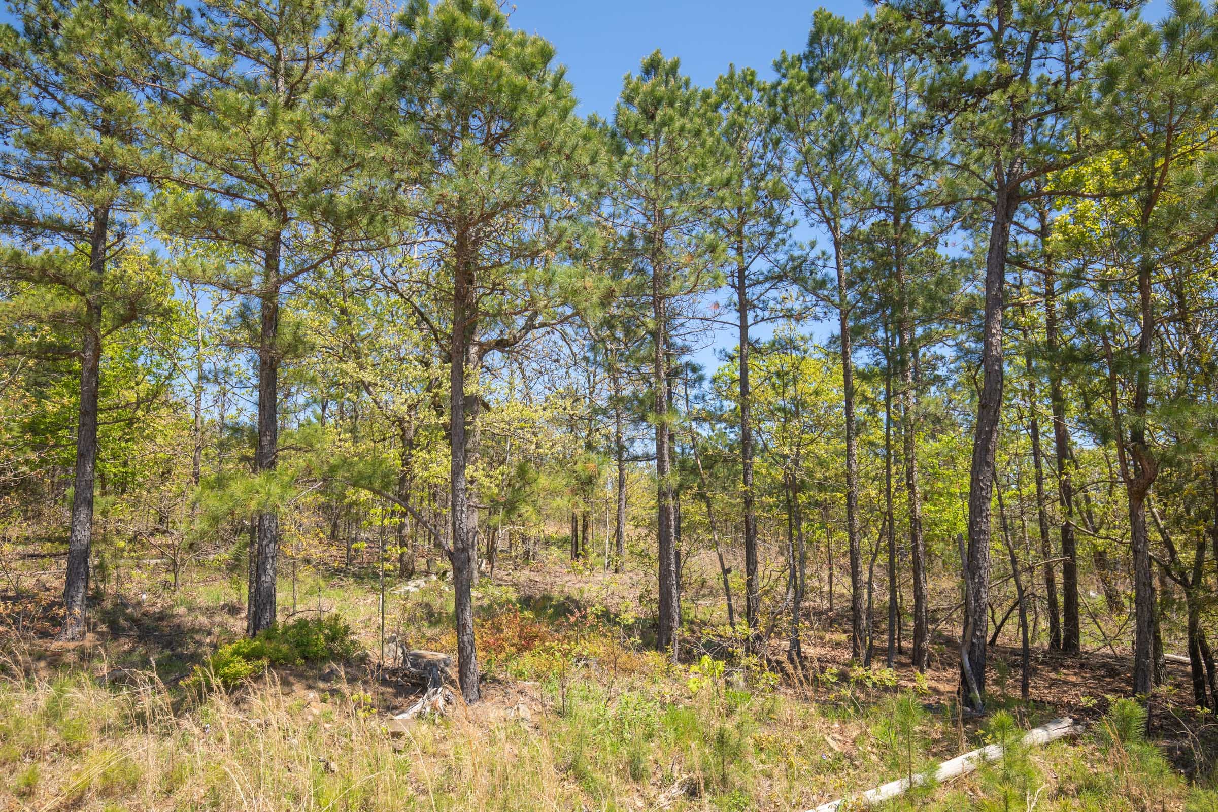 Eagle’s Nest Tract 15 photo 10