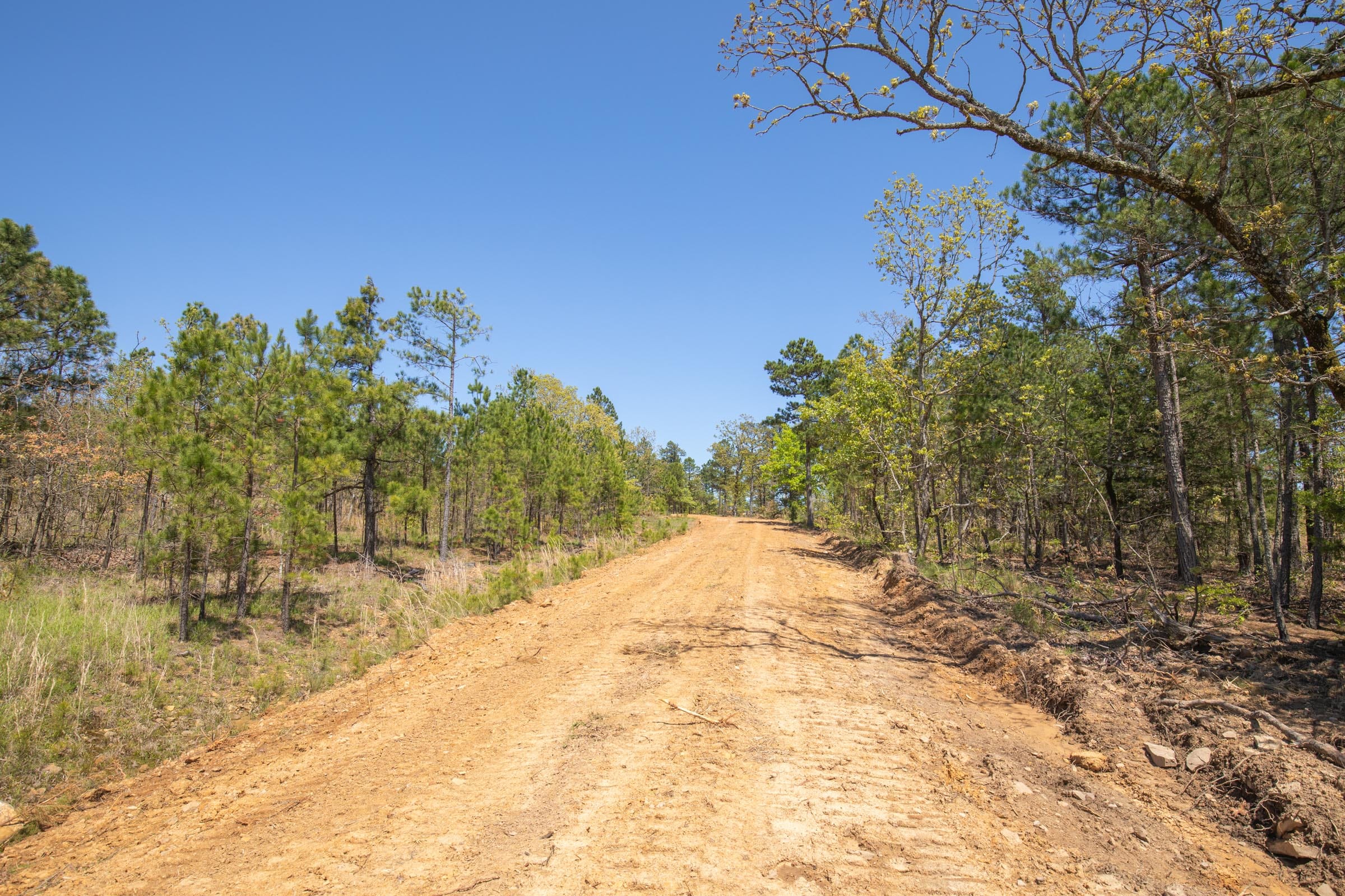 Eagle’s Nest Tract 15 photo 12