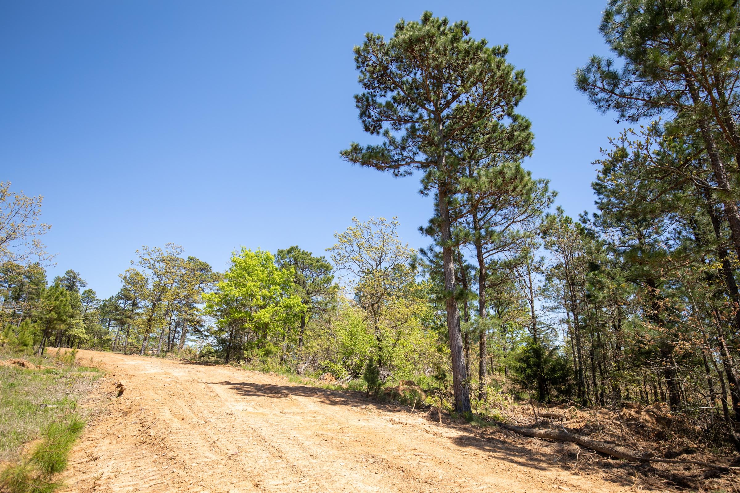 Eagle’s Nest Tract 15 photo 15