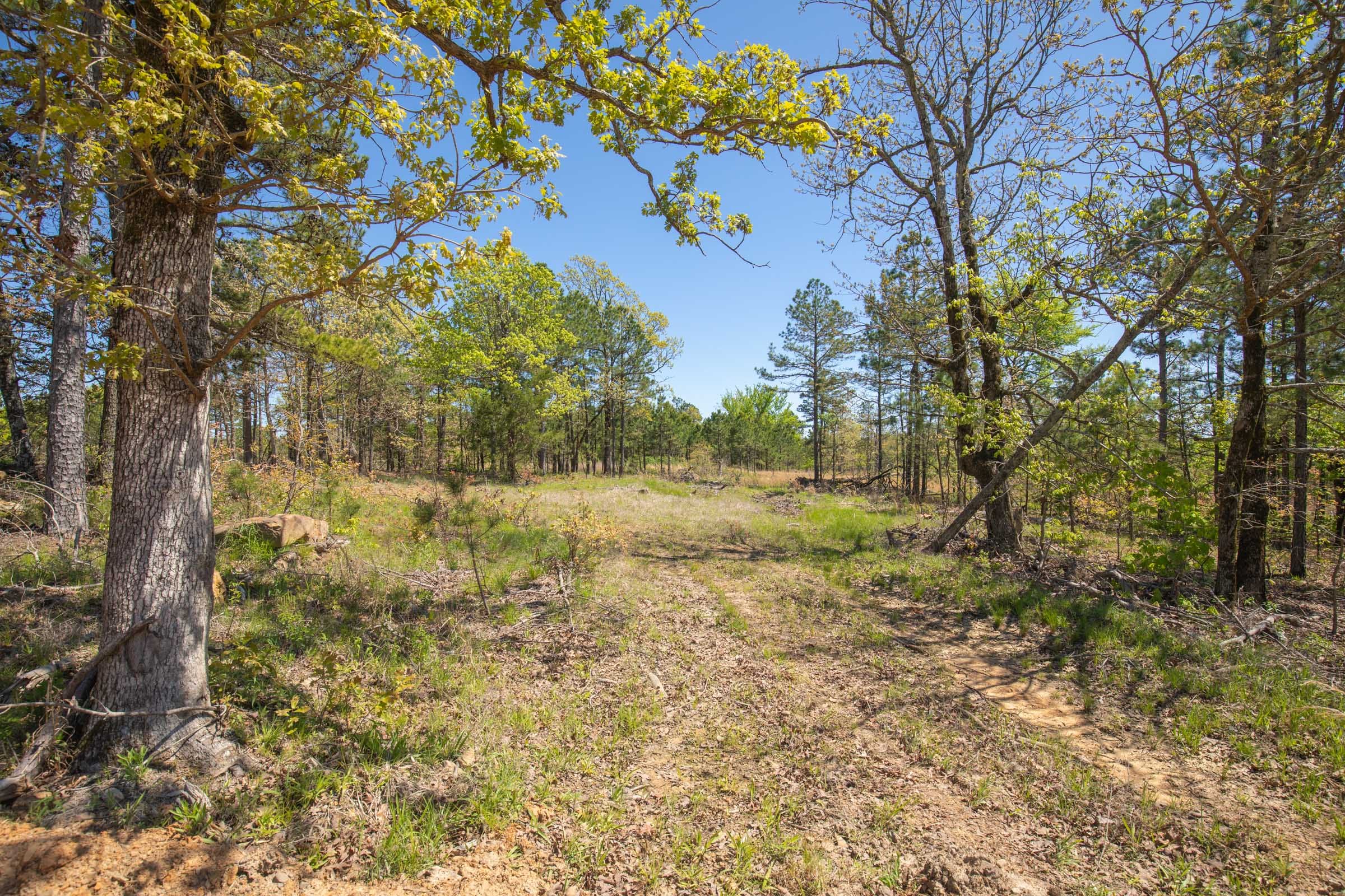 Eagle’s Nest Tract 15 photo 16