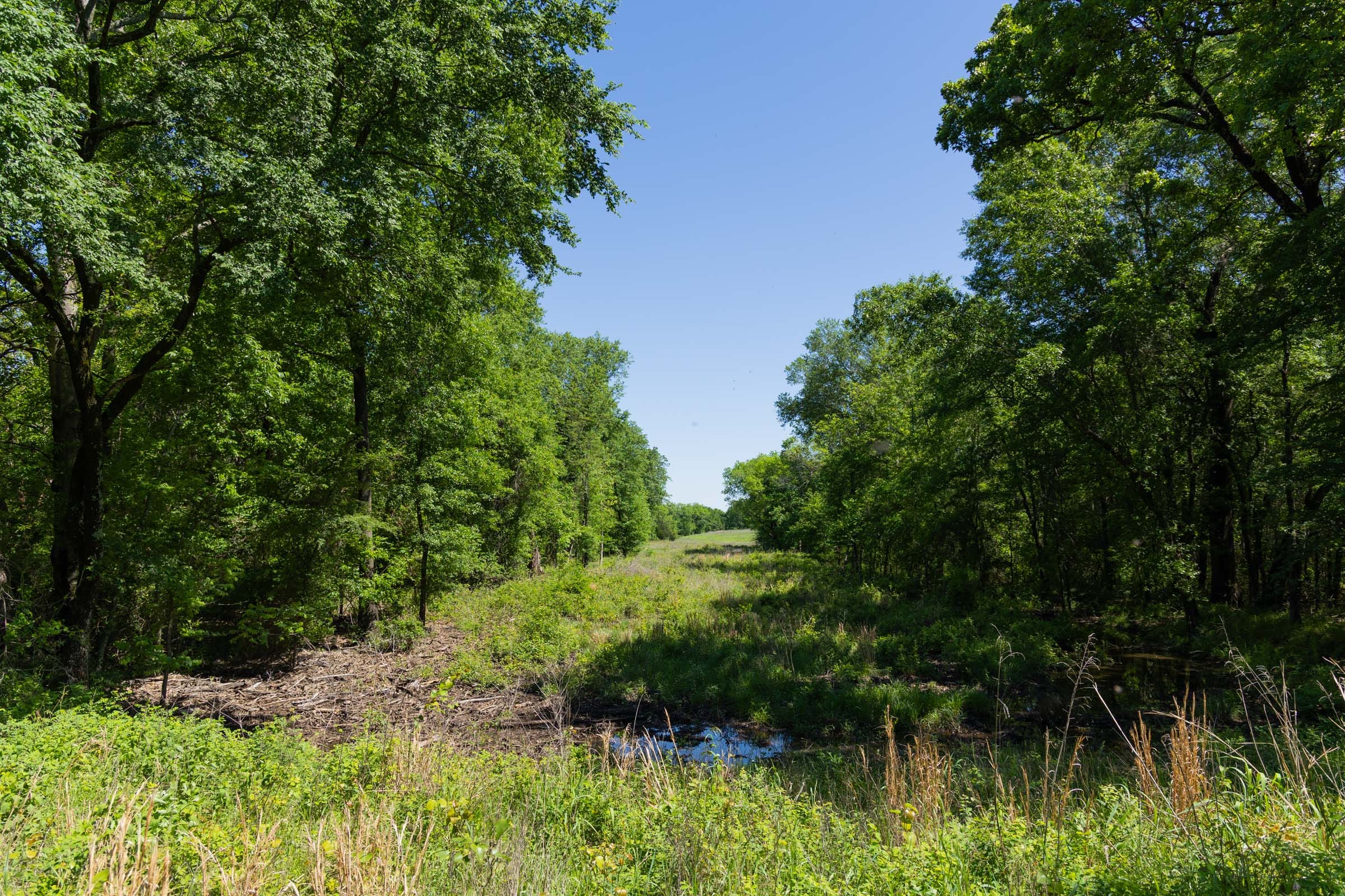 Harmony Hills Tract 34 photo 4