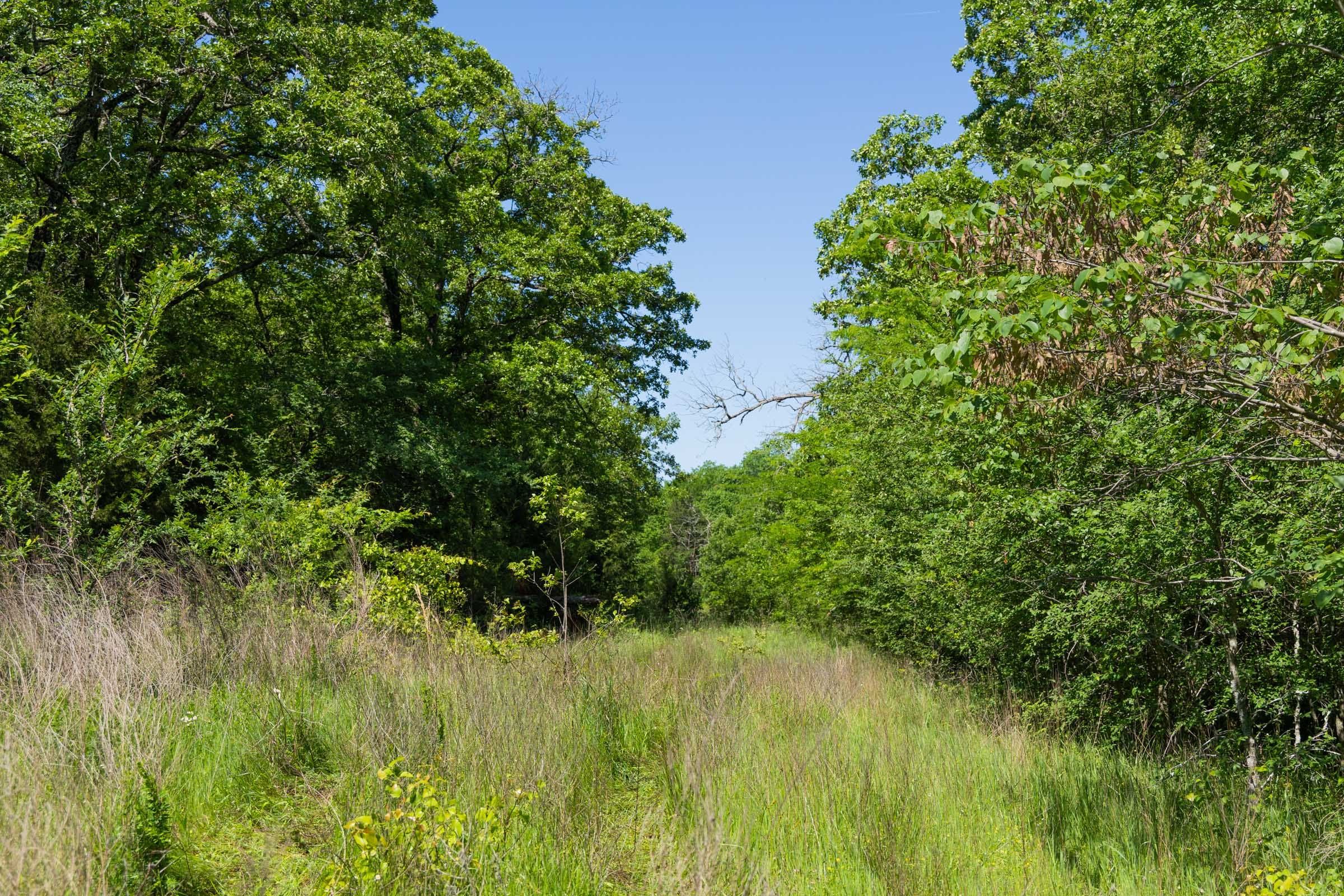 Harmony Hills Tract 34 photo 8