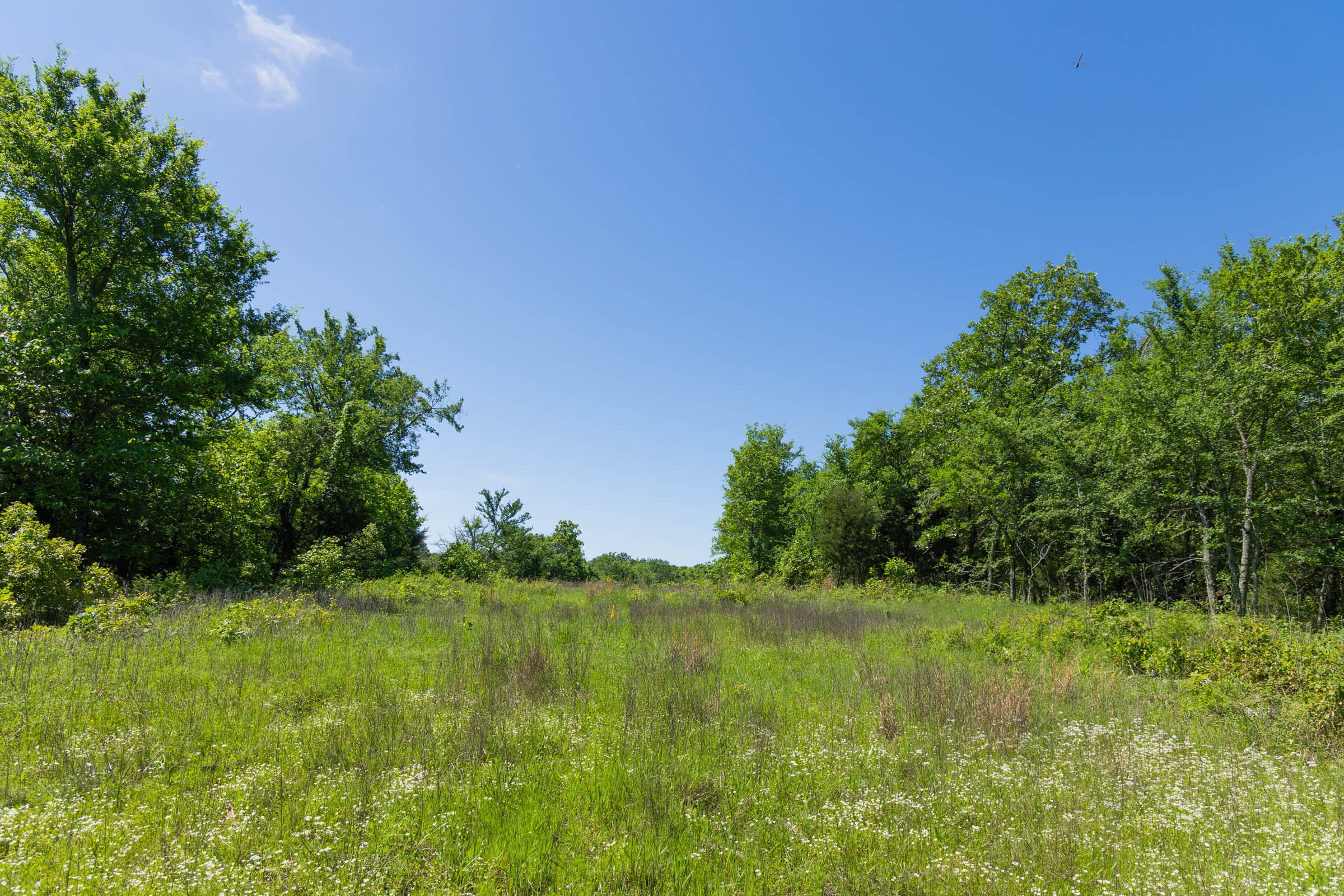 Harmony Hills Tract 34 photo 10