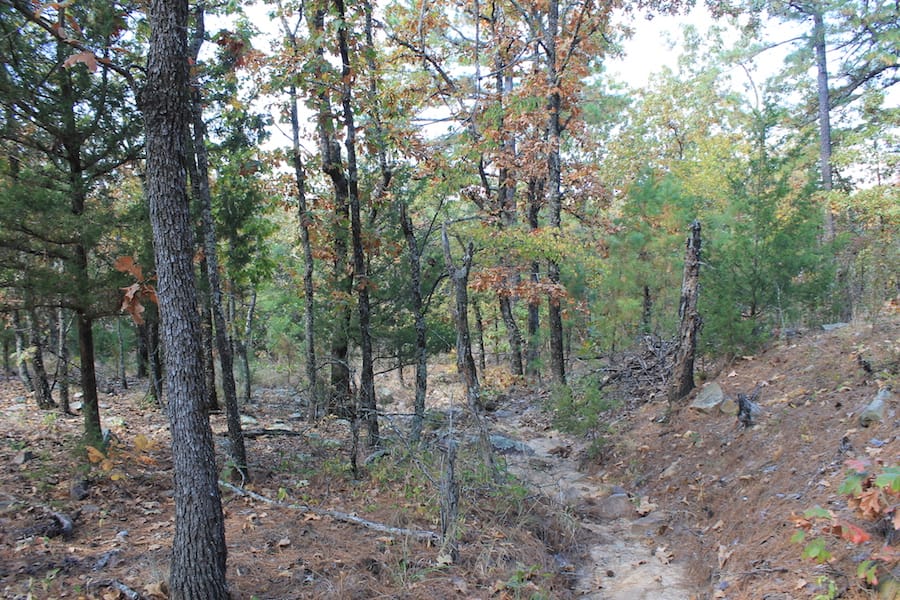 Indian Ridge – Phase III Tract 106 photo 4