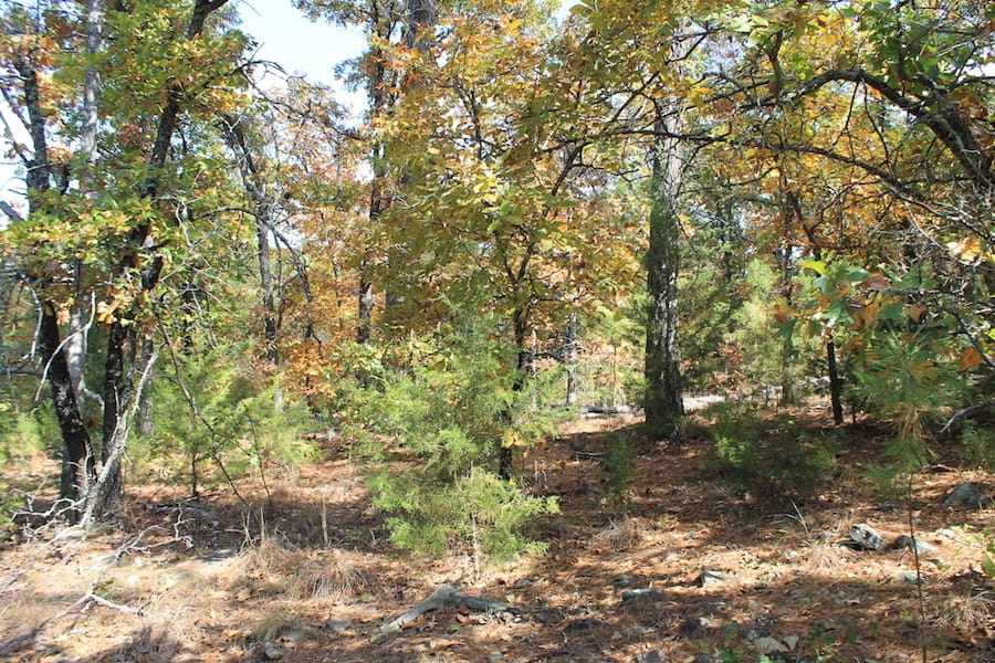 Indian Ridge – Phase III Tract 106 photo 5