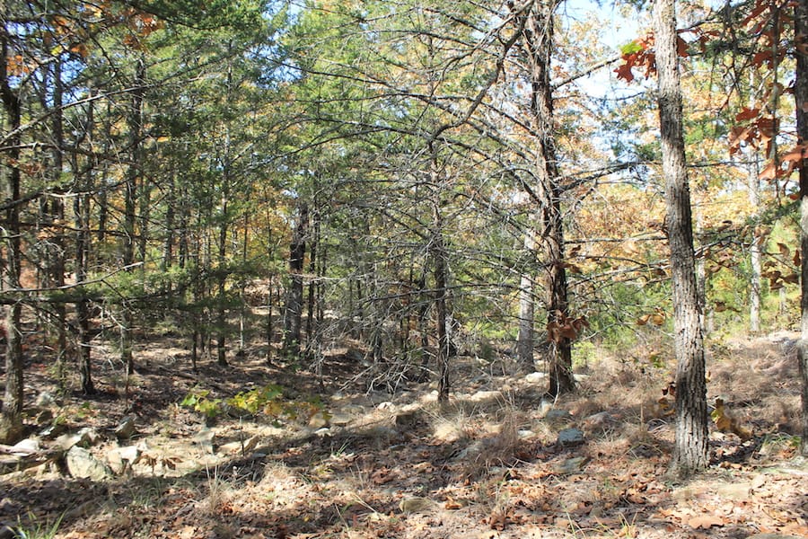 Indian Ridge – Phase III Tract 106 photo 6