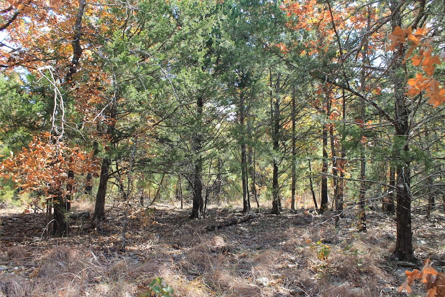 Indian Ridge – Phase III Tract 106 photo 7