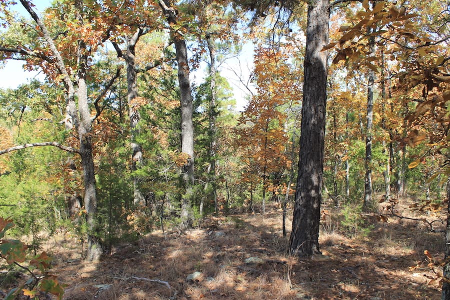 Indian Ridge – Phase III Tract 106 photo 8
