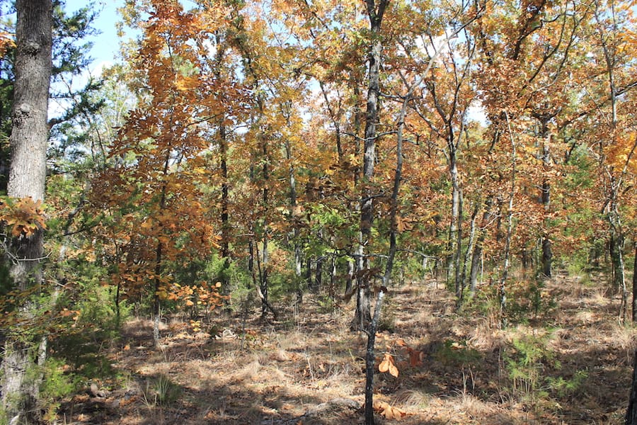 Indian Ridge – Phase III Tract 106 photo 9