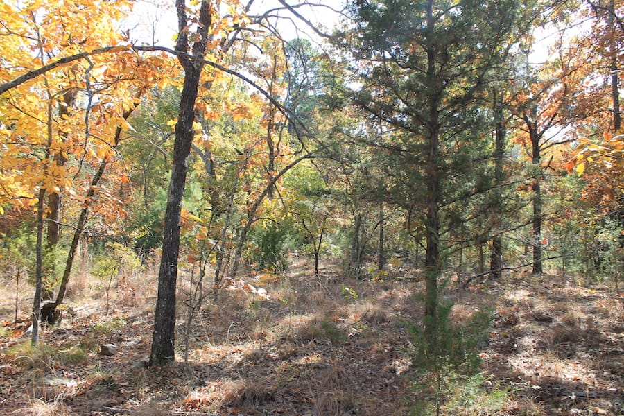 Indian Ridge – Phase III Tract 106 photo 10
