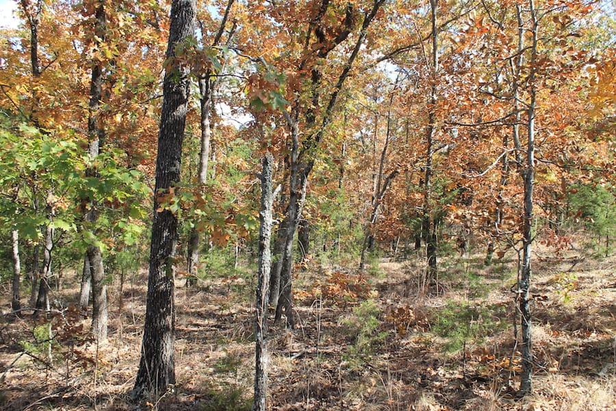Indian Ridge – Phase III Tract 106 photo 11