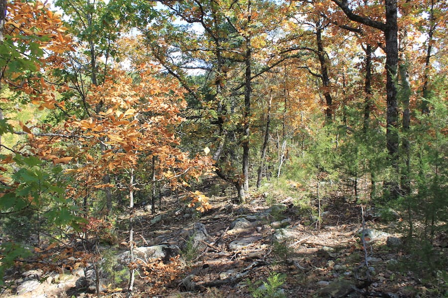 Indian Ridge – Phase III Tract 106 photo 12