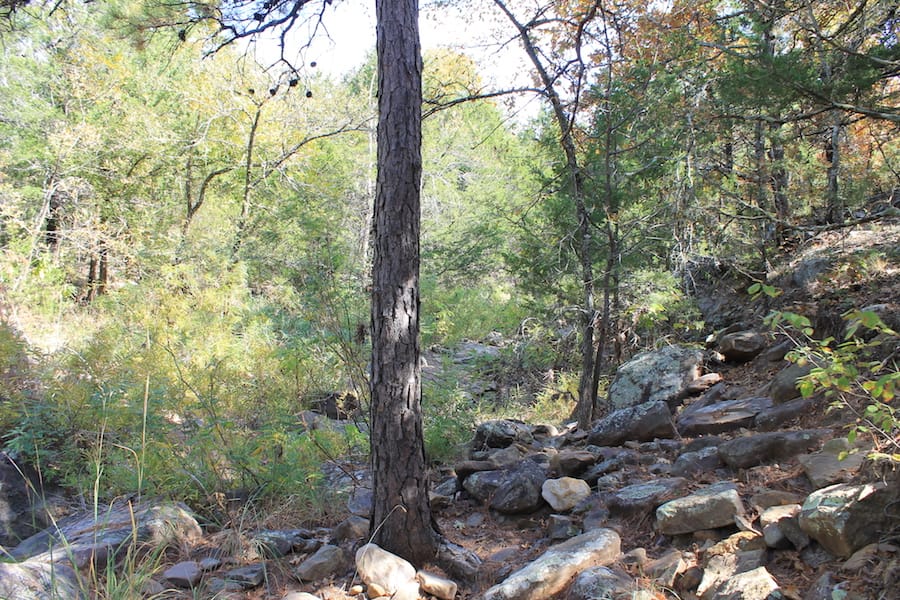 Indian Ridge – Phase III Tract 106 photo 13
