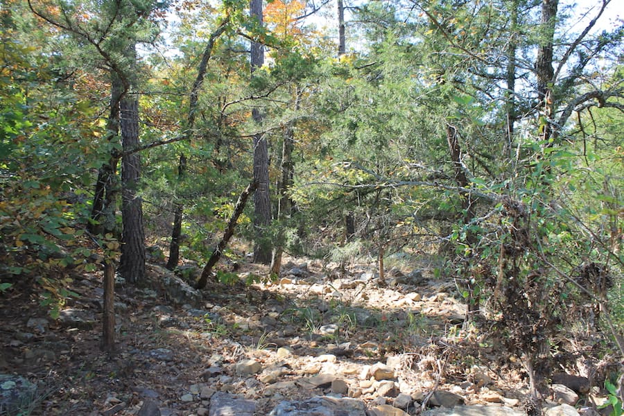 Indian Ridge – Phase III Tract 106 photo 14