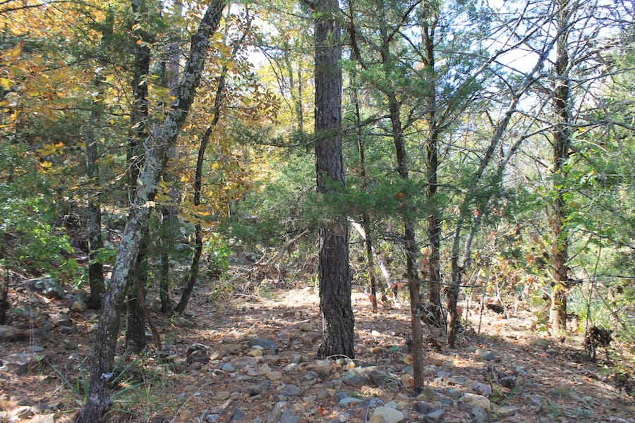 Indian Ridge – Phase III Tract 106 photo 15