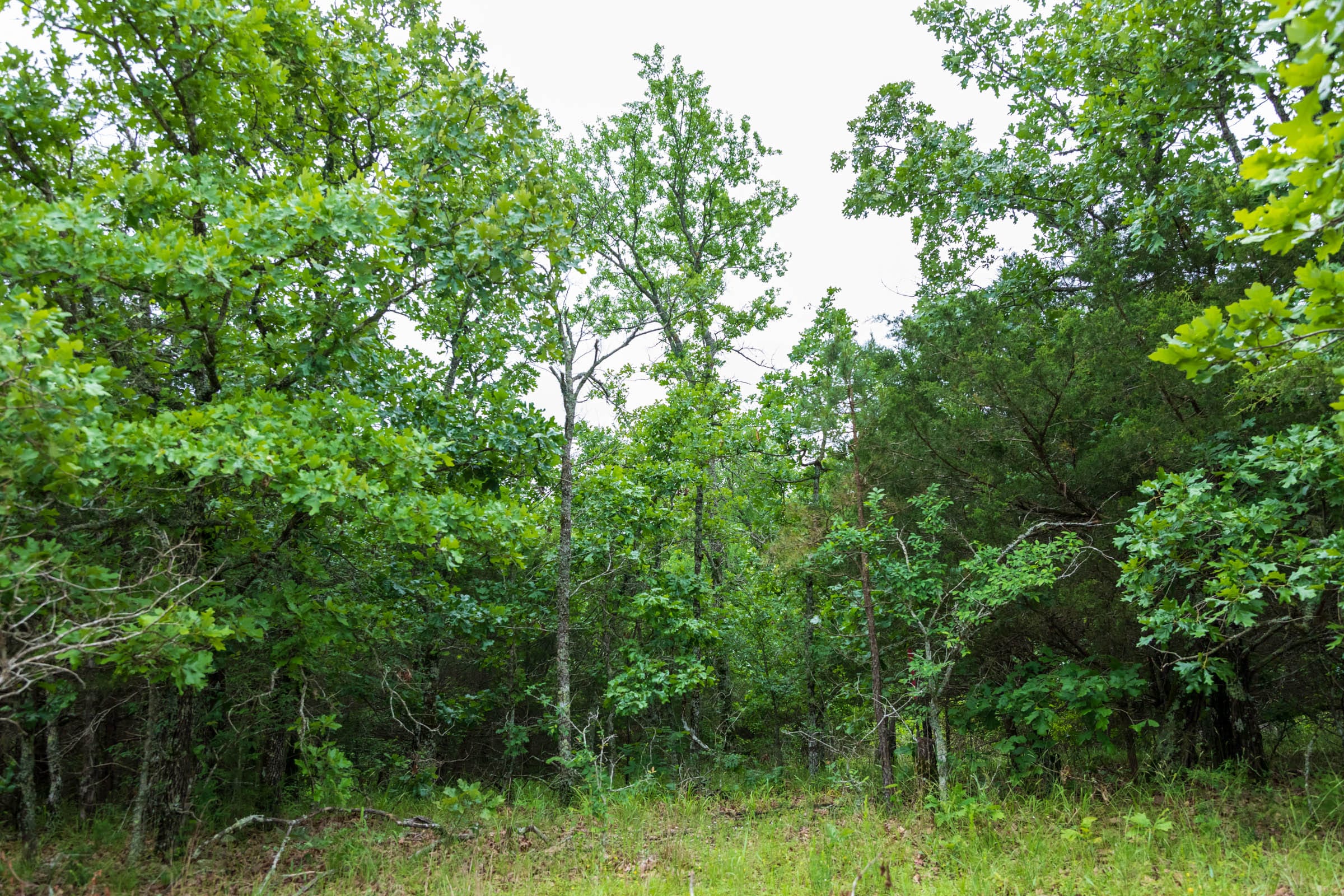 Falcon Crest Tract 5 photo 6