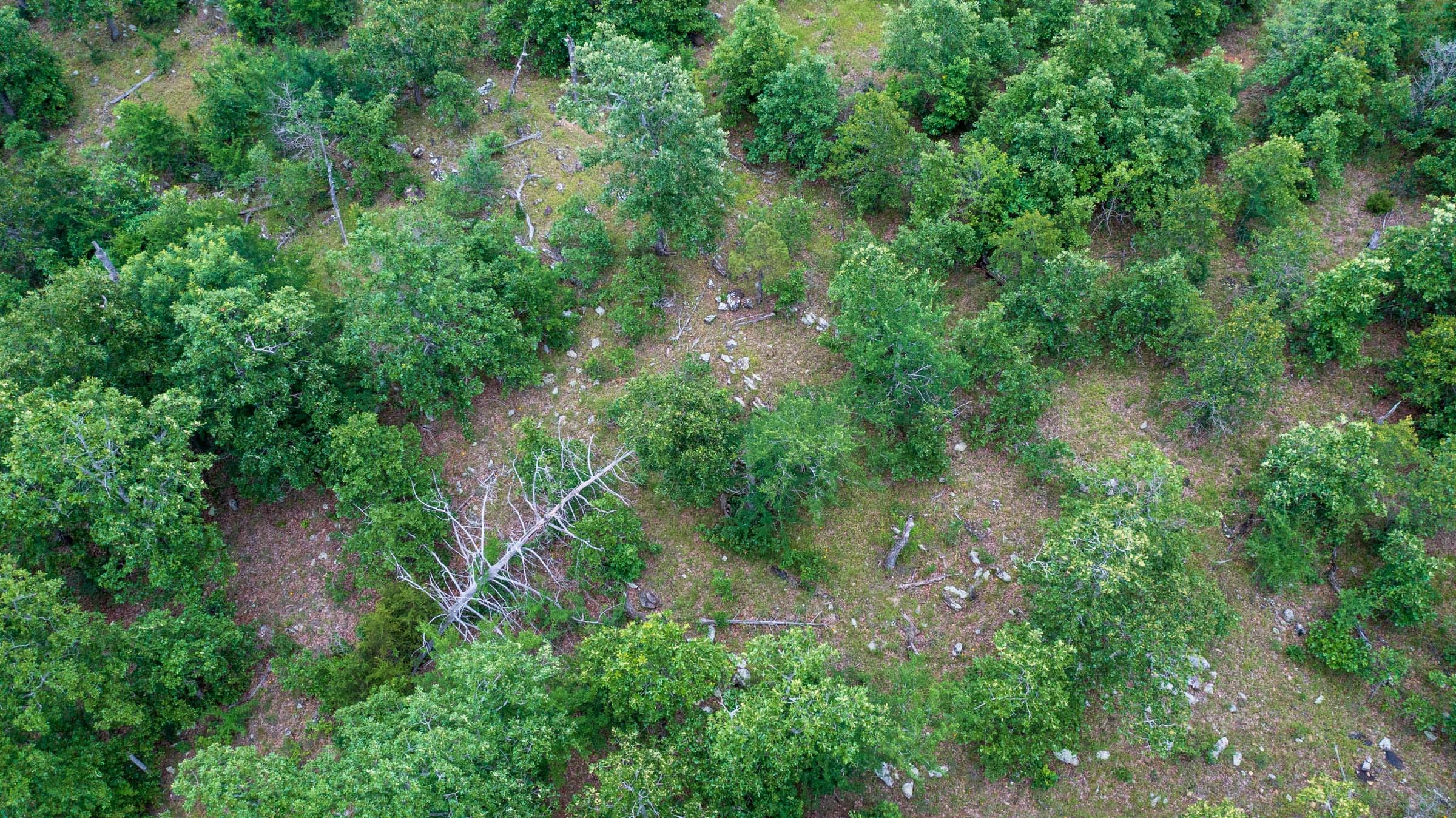 Falcon Crest Tract 5 photo 8