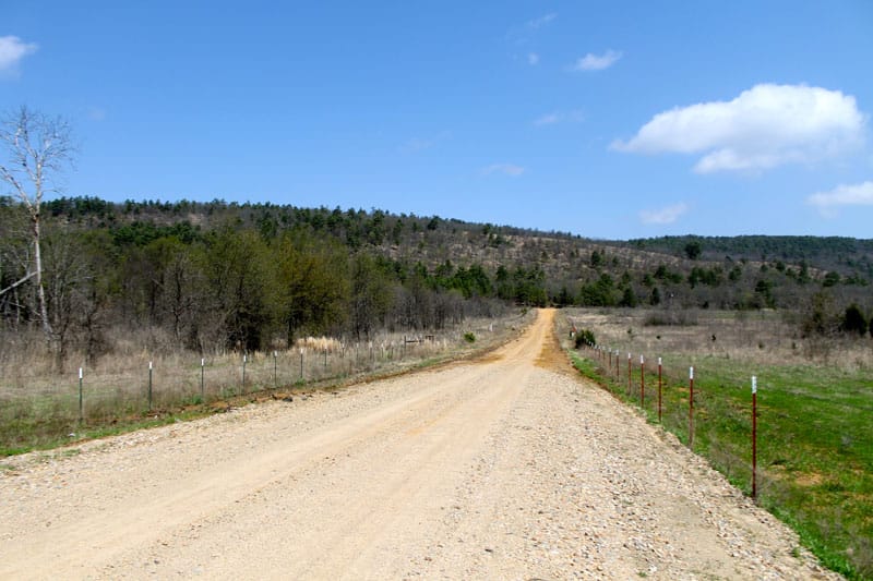 Daisy Meadows Tract 11 photo 1