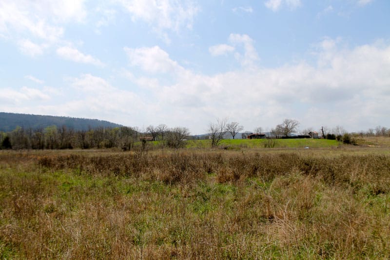Daisy Meadows Tract 11 photo 5