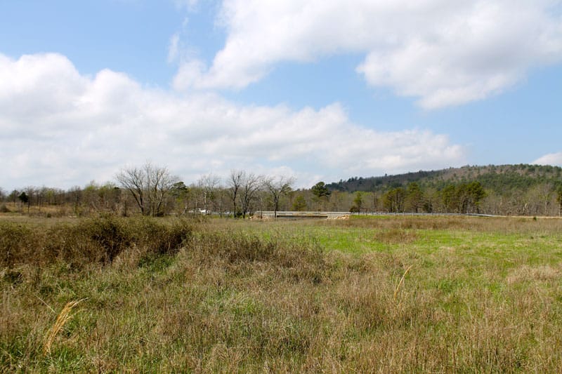 Daisy Meadows Tract 11 photo 6