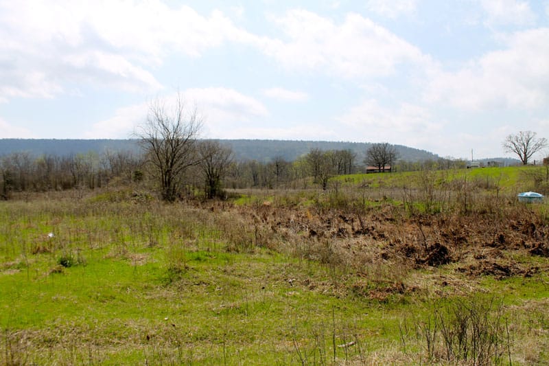 Daisy Meadows Tract 11 photo 9