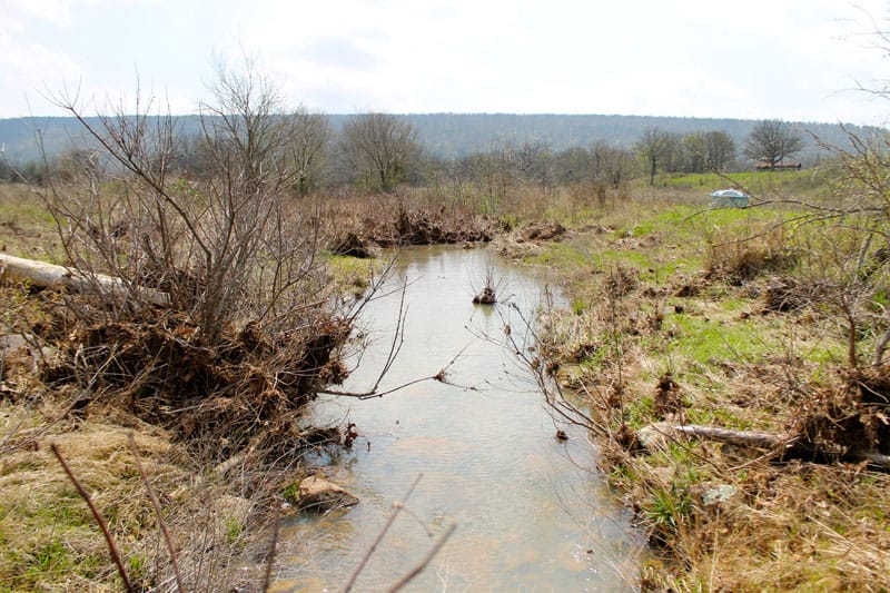 Daisy Meadows Tract 11 photo 2