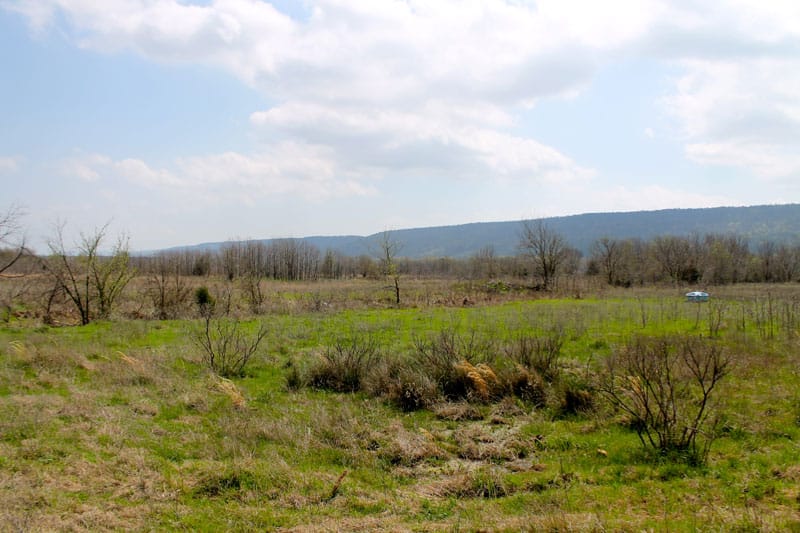 Daisy Meadows Tract 11 photo 10