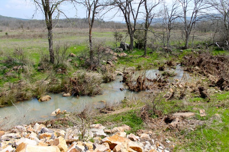 Daisy Meadows Tract 11 photo 12
