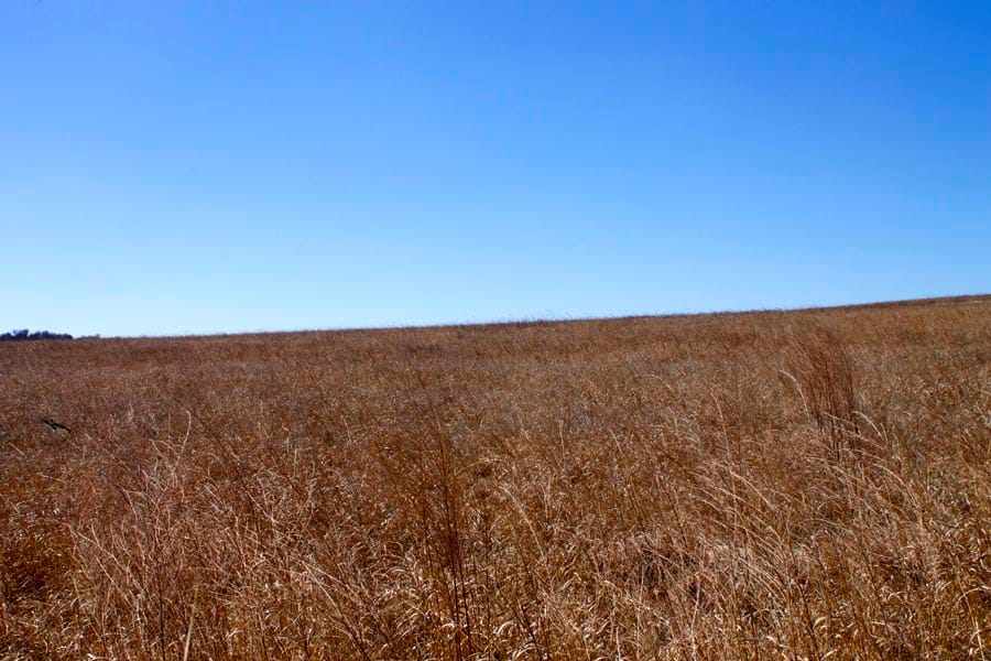 Cowboy Meadows Tract 10 photo 3
