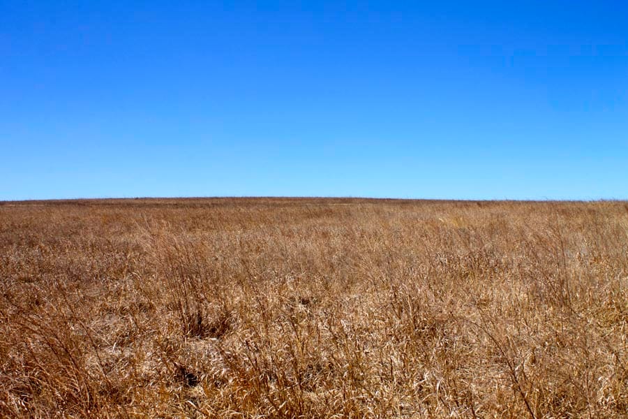 Cowboy Meadows Tract 10 photo 4