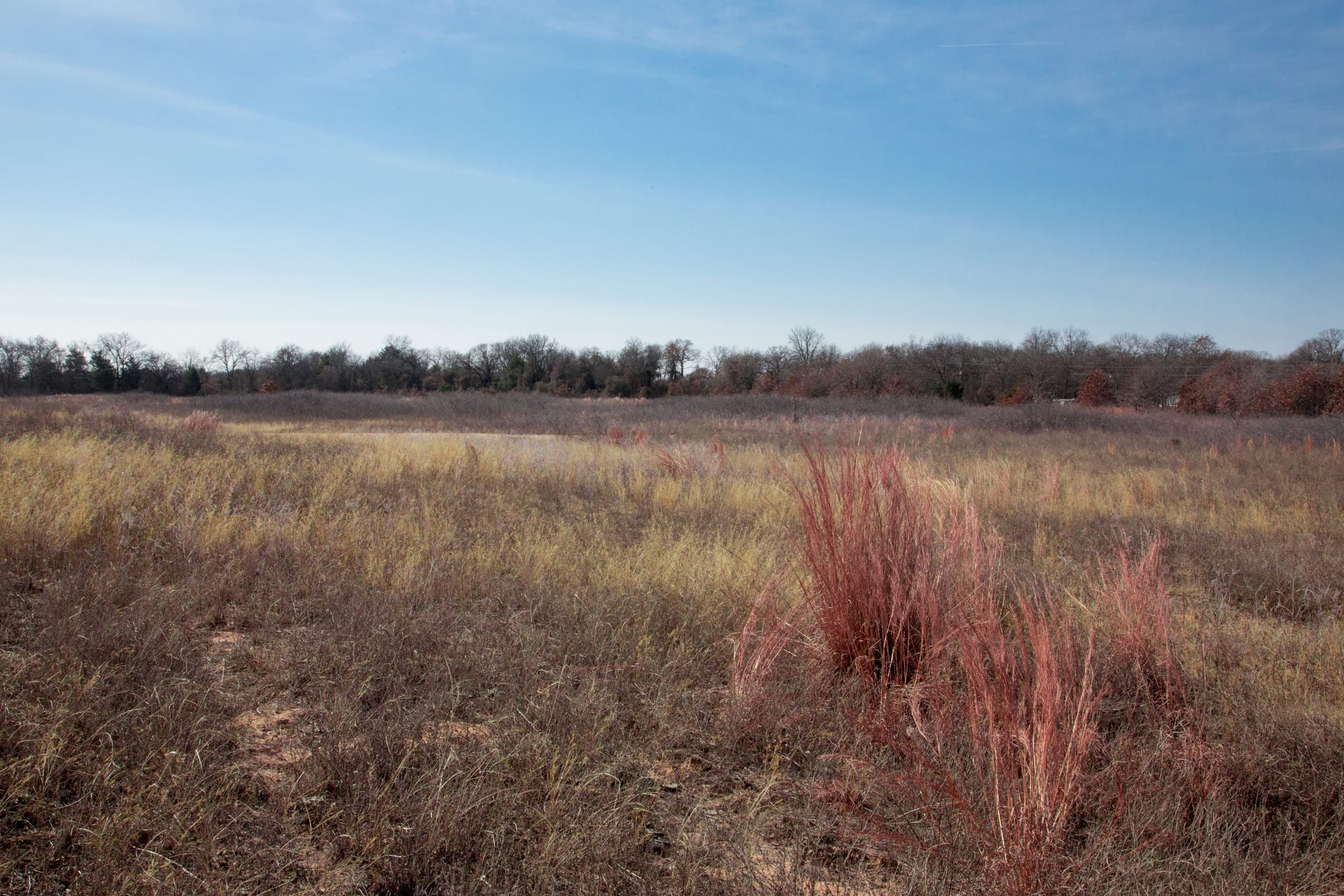 Legacy Ranch Tract 10 photo 8