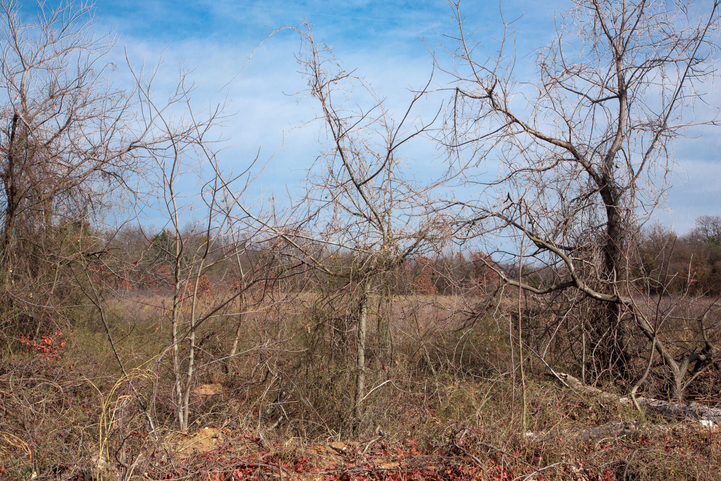 Legacy Ranch Tract 10 photo 12