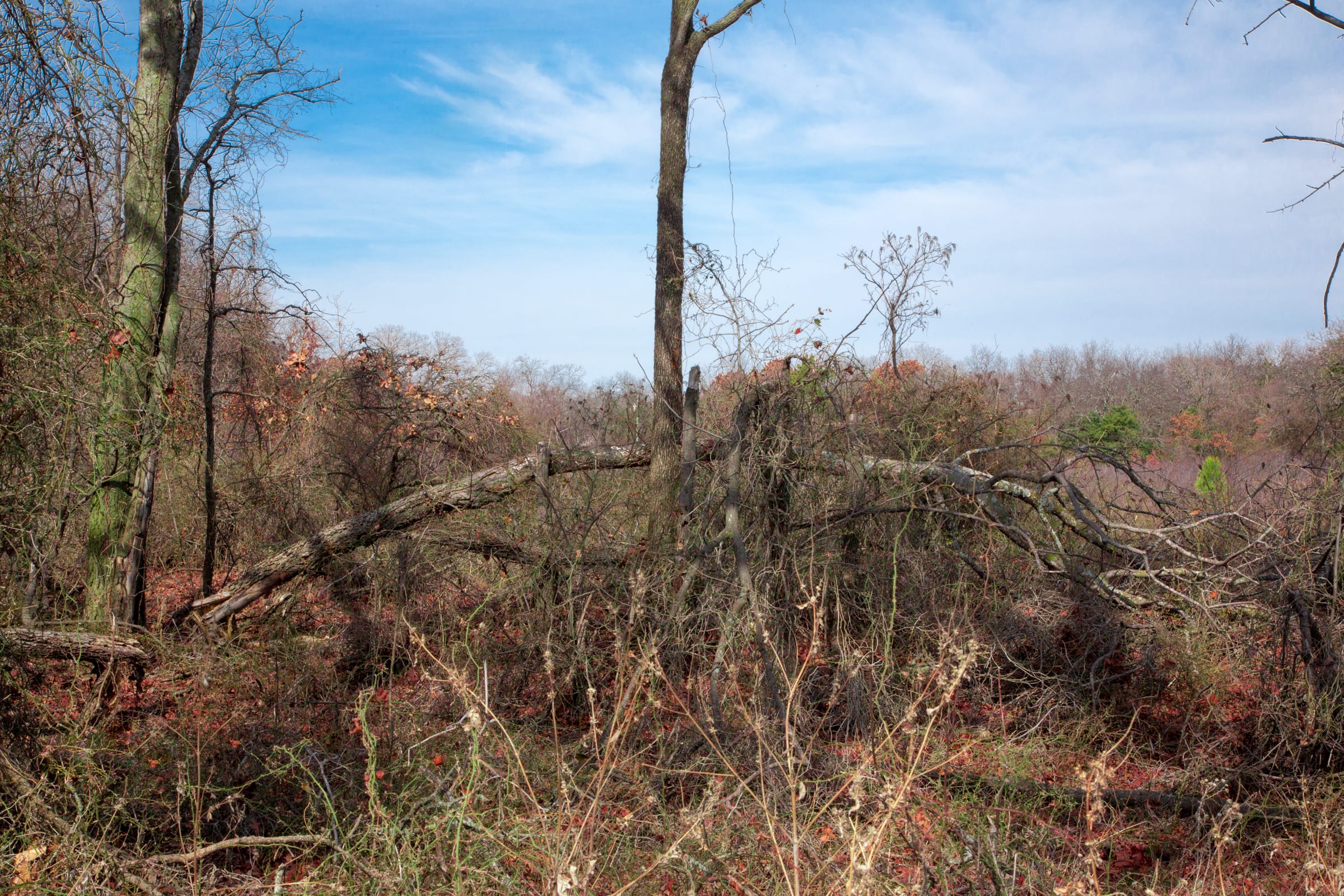 Legacy Ranch Tract 10 photo 13