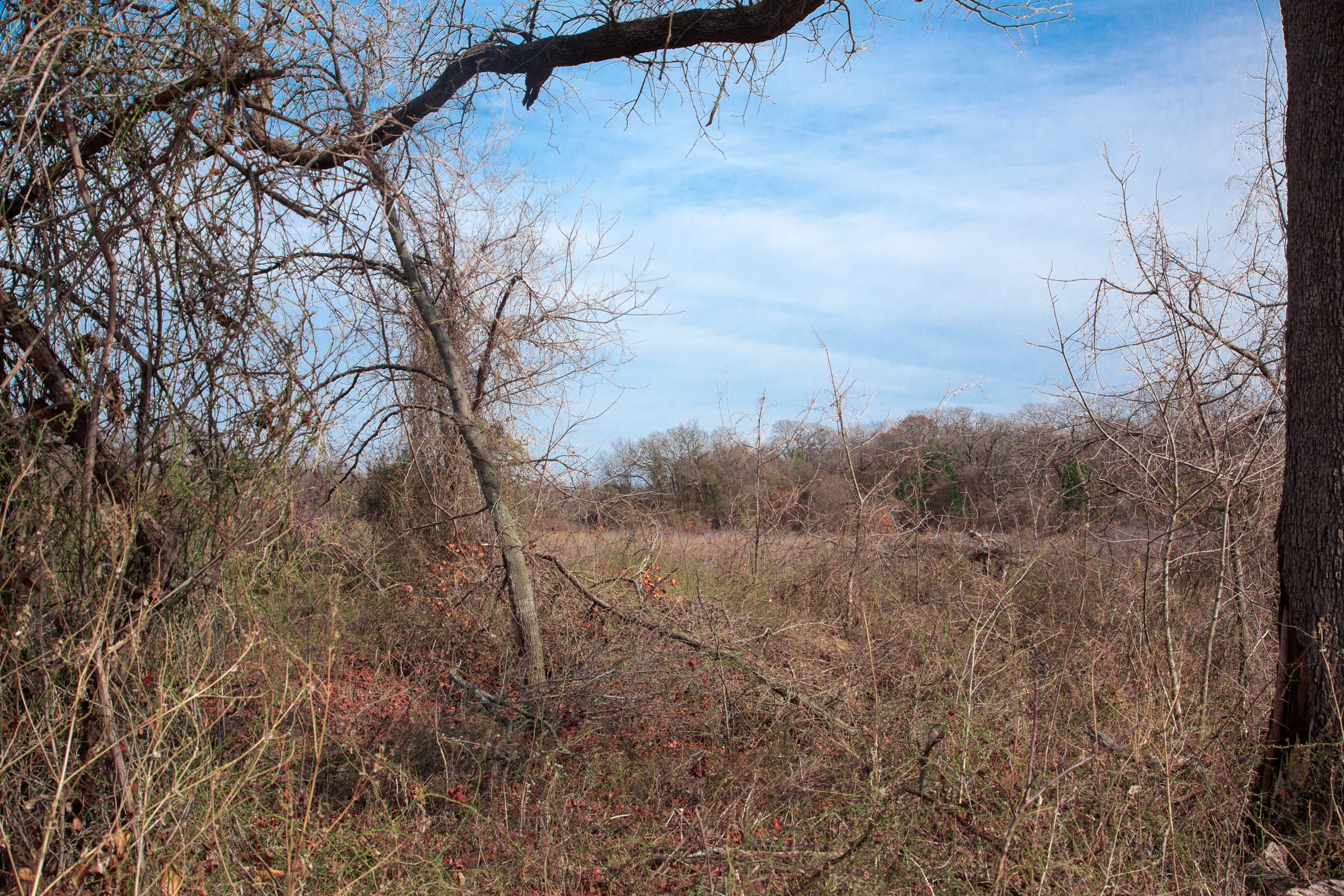 Legacy Ranch Tract 10 photo 15
