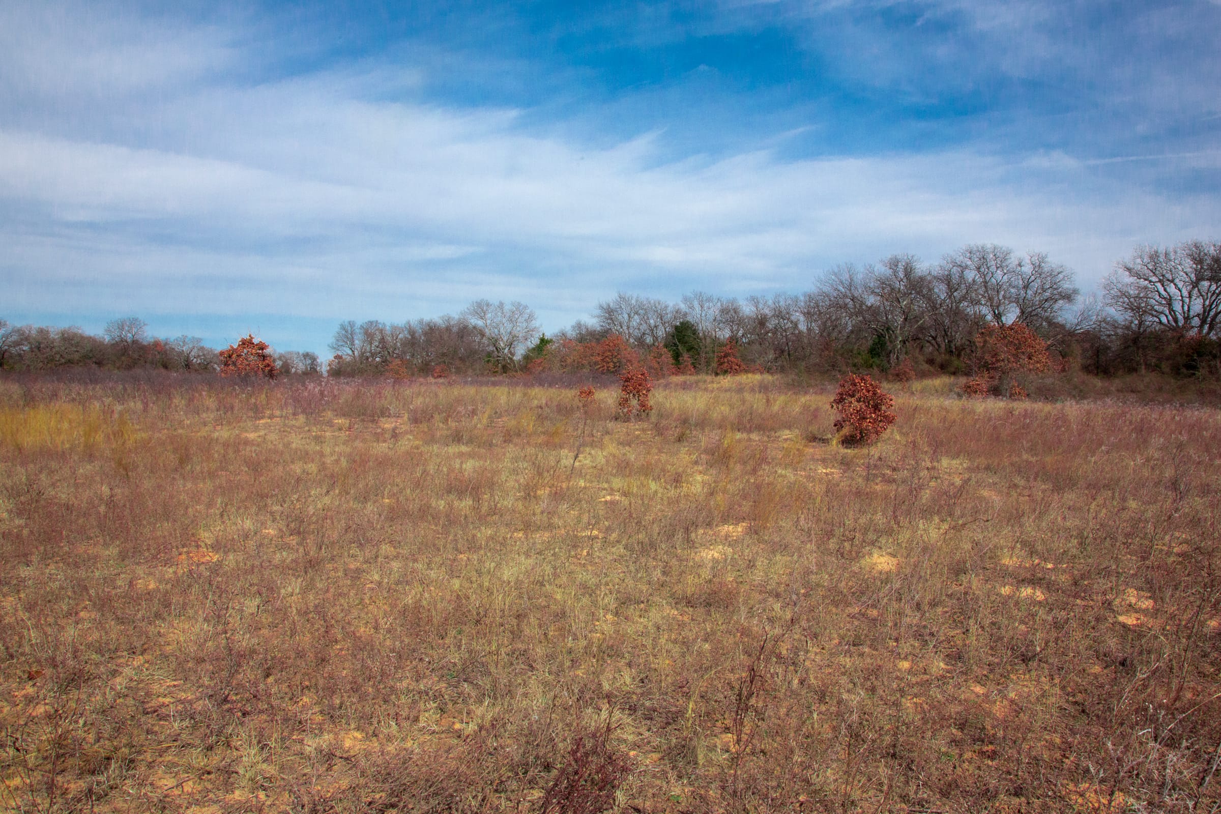 Legacy Ranch Tract 10 photo 24