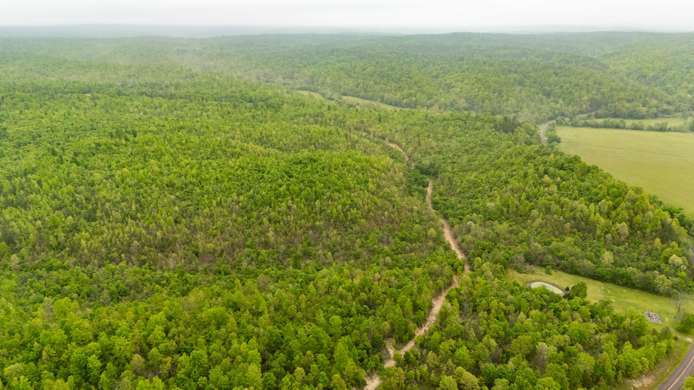 Double S Ranch Tract 9 photo 5