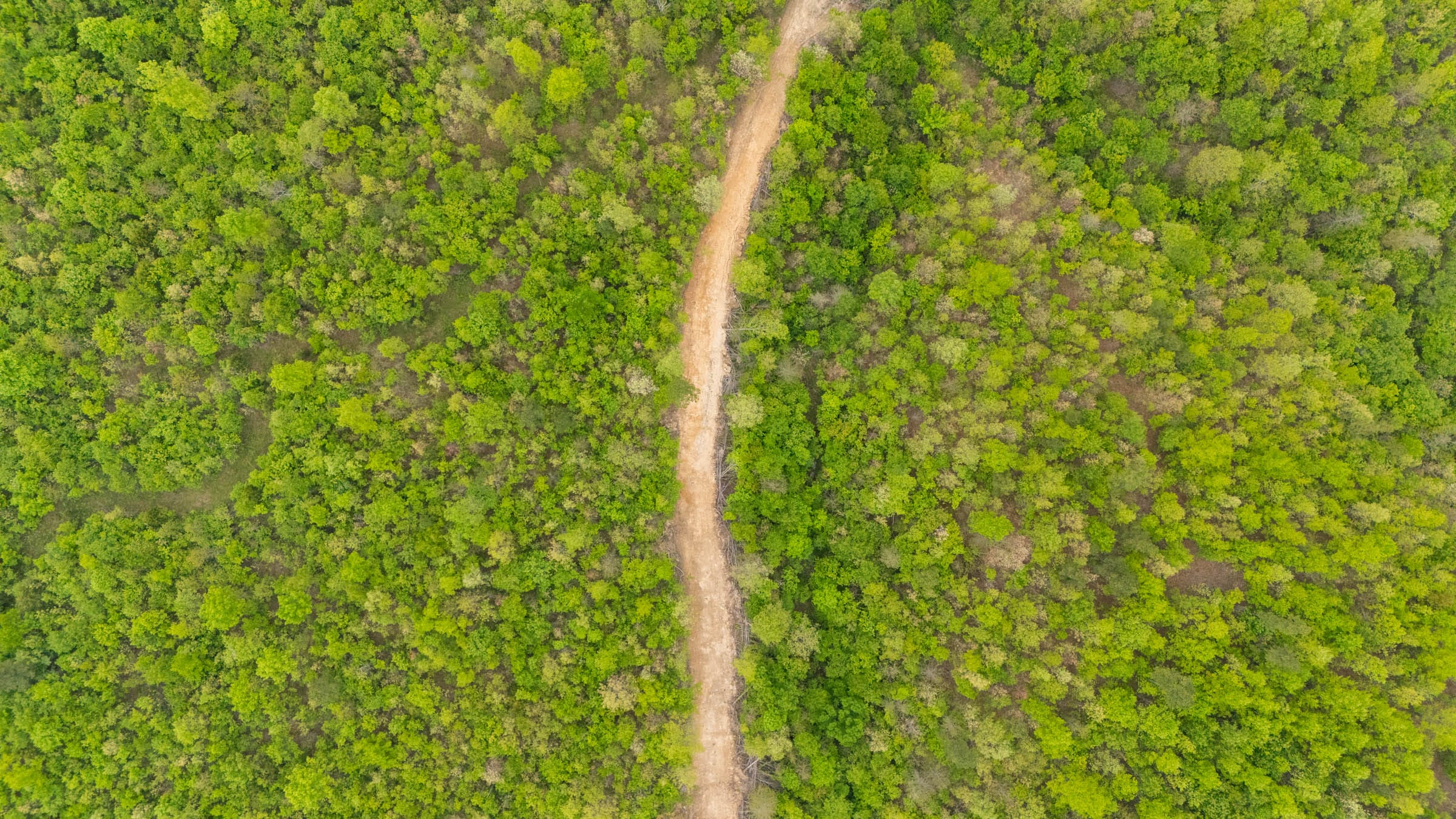 Double S Ranch Tract 9 photo 1