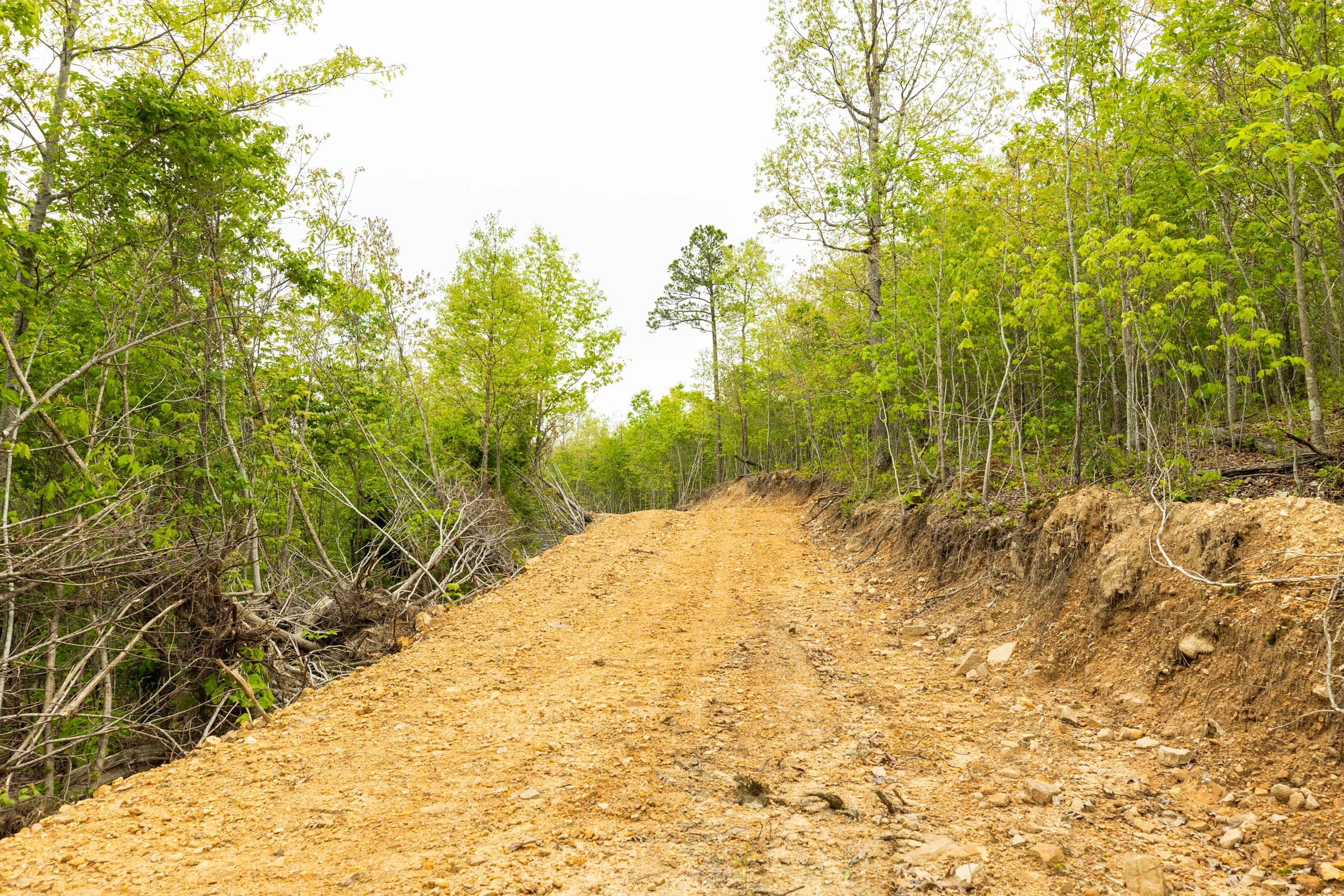 Double S Ranch Tract 9 photo 2